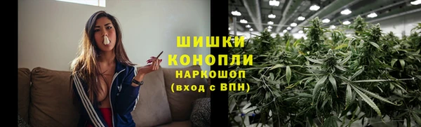 стаф Сафоново