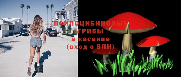 стаф Сафоново