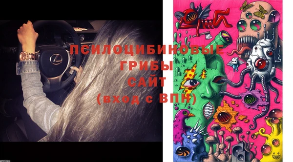 ECSTASY Саяногорск