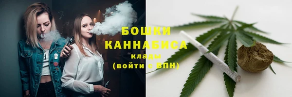 стаф Россошь