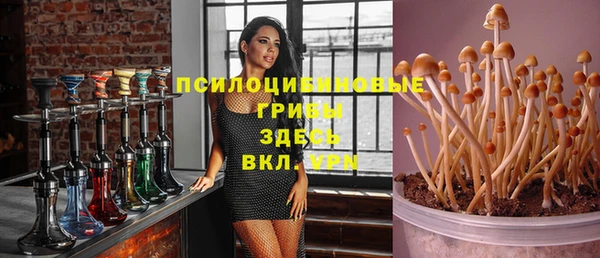 стаф Сафоново