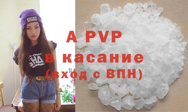 стаф Сафоново